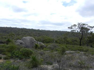 John Forrest N.P.