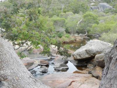 John Forrest N.P.
