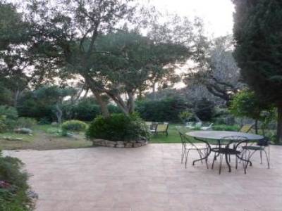 Jardin