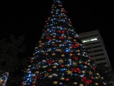 Big sapin de Noël à Perth