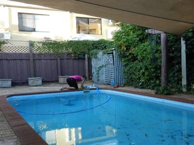Le jour de Noël: nettoyage de la piscine