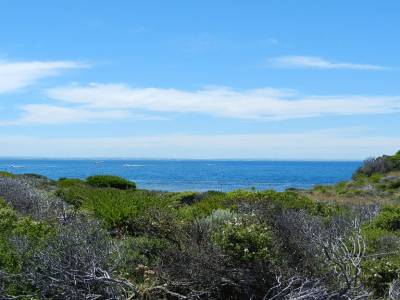 Rottnest Island