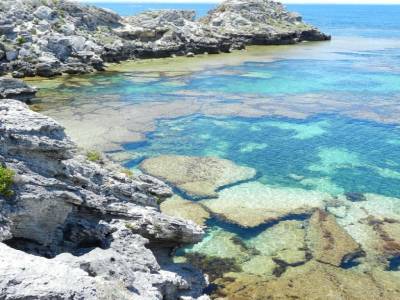 Rottnest Island