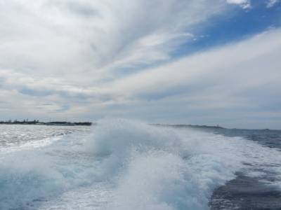 Rottnest Island