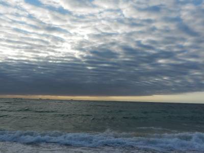 Cottlesloe beau le 1er janvier 2012