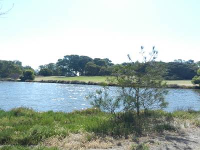 Heirisson Island