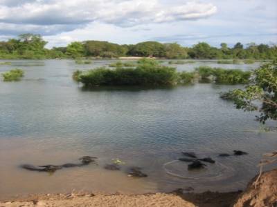 un petit bain dans le Mekong