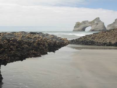 Golden Bay