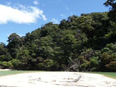 Abel Tasman national Park