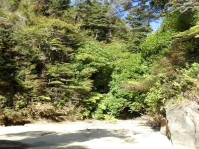 Abel Tasman national Park