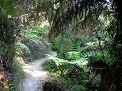 Abel Tasman national Park