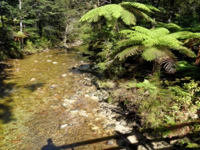 Abel Tasman national Park