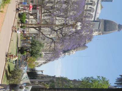Plaza de Mayo
