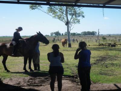 Faire du cheval