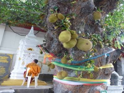 Doi Suthep - Wat Phra That Doi Suthep