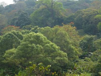 Doi Suthep 