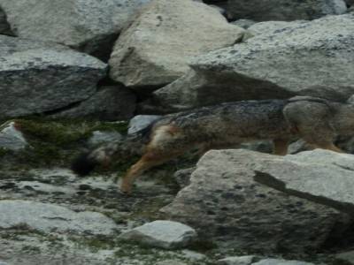 Parc Torres Del Paine 3