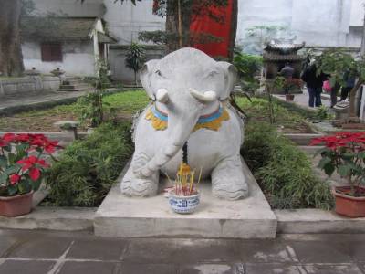 Elephant sacré du Temple Tran Quoc