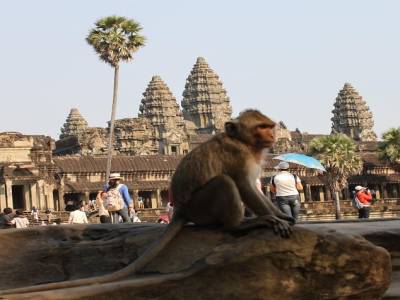 Our tourist guide