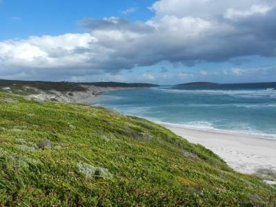 Great ocean drive