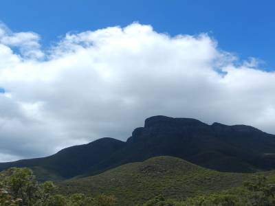 Knoll Bluff