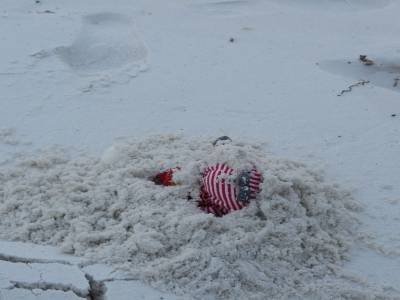 Poupette dans le sable