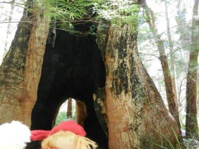 Giant Poupette