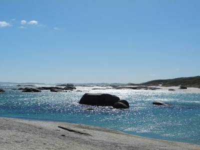 Green Pool