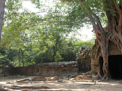 Behind the Ta Prohm Temple