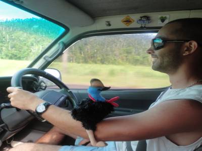 Nico et son nouvel ami le cassowary