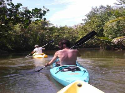 Canoe dans la mangrove juste derrière la plage
