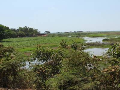 Landscape (Kampong Cham Province)
