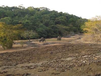 Pause pour les elephants et balade a pied pour nous