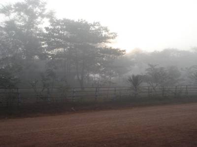 Au petit matin a Kiat Ngong