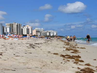 Miami Beach