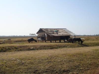 Ile de Don Khong