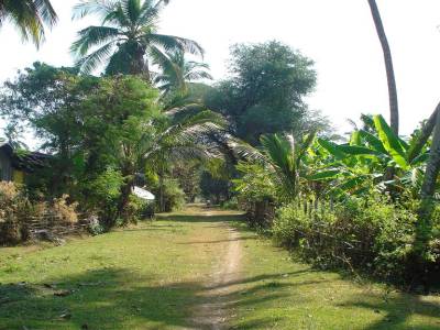 Ile de Don Khong