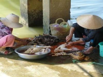 Coupe de la viande au bord de l eau a Hoi An