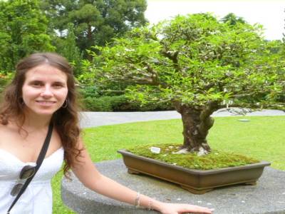 Jardin botanique - Jardin botánico