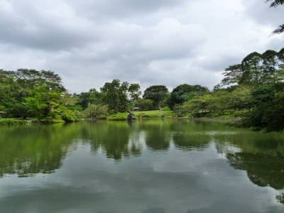 Jardin botanique - Jardin botánico