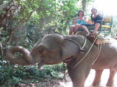 Et nous voici à dos d'éléphant...youhouuuu!