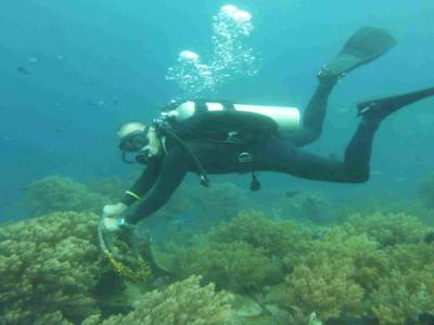 Laurent le dive master au volant