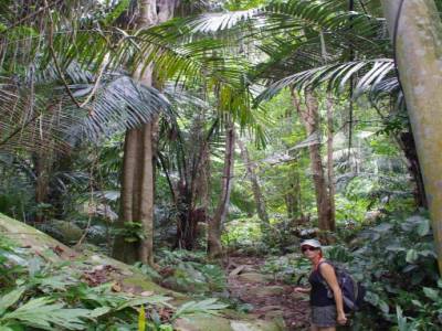 la grosse jungle 
