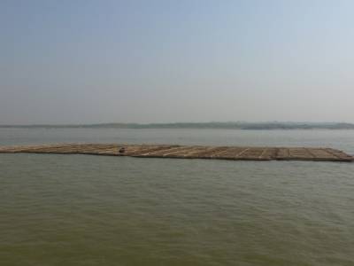 Bambou flottant