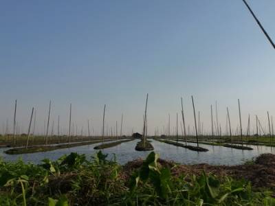 Lac Inle 