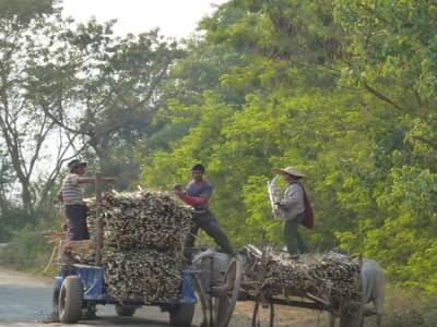 Ballade autour du Lac Inle 