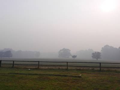 Non ce n'est pas la brume, mais la fumée d'un feu de forêt à 20 km de là, on était en alerte pendant plusieurs jours