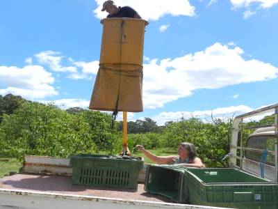 Sinon Vin utilise le Cherry picker pour ceux que l'on arrive pas à atteindre