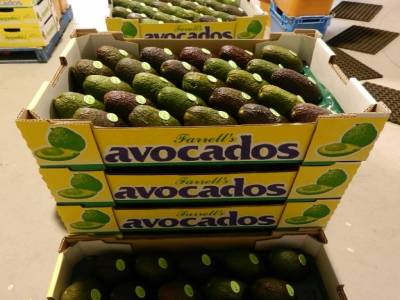 Les avocats sont prêts !