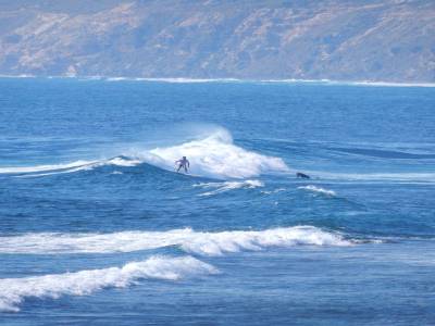 Surfers' point